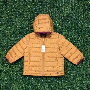3T Baby GAP Girls Jacket, Cold Control Water Resistant 3YRS